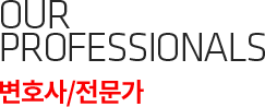 our professionals 변호사/전문가